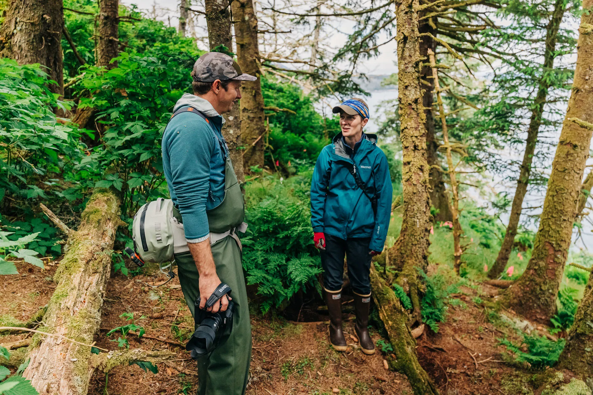 Brown bear fishing salmon stream in Southeast Alaska