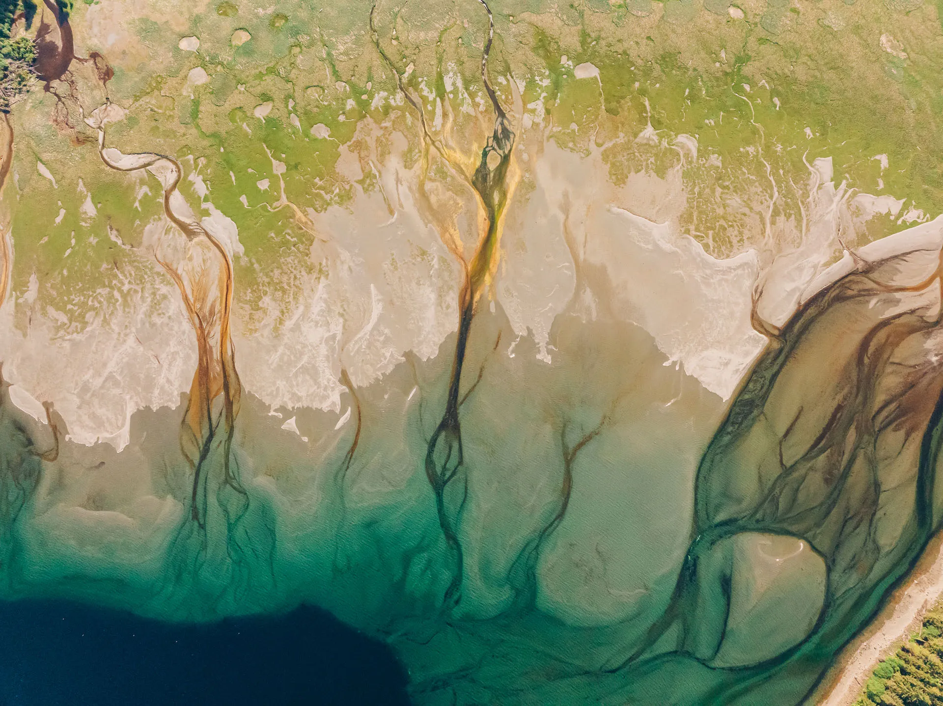 Aerial view of an Alaskan river delta with branching streams flowing into a deep blue-green body of water, surrounded by green vegetation and light sandy areas.