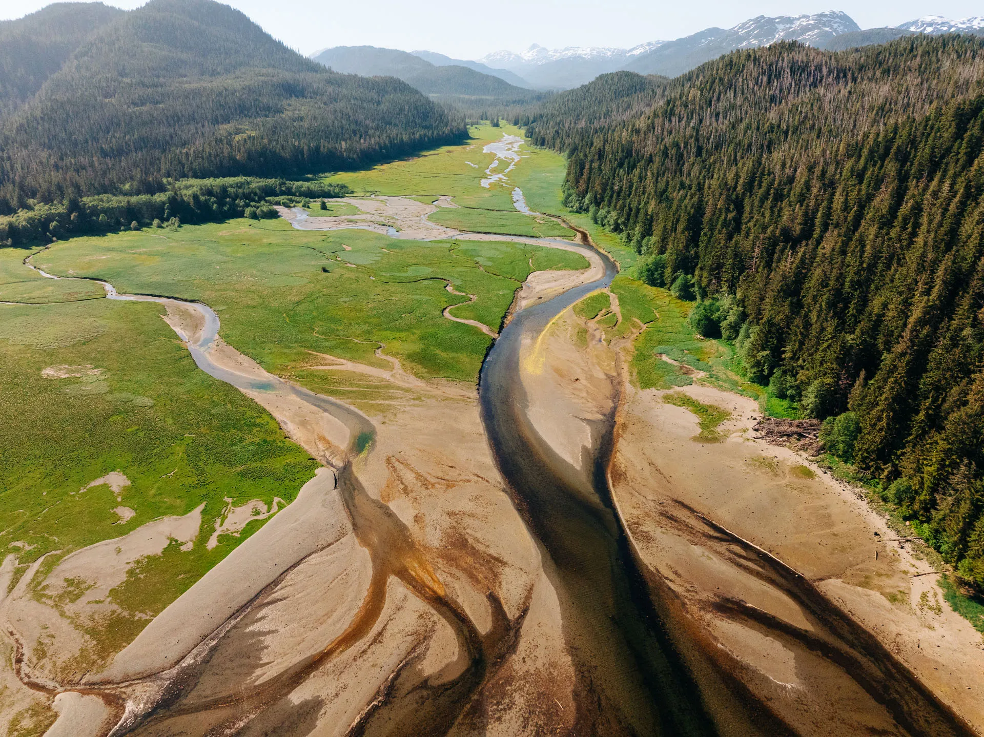 A winding river flowing through a green valley surrounded by dense forests and mountains in the background.