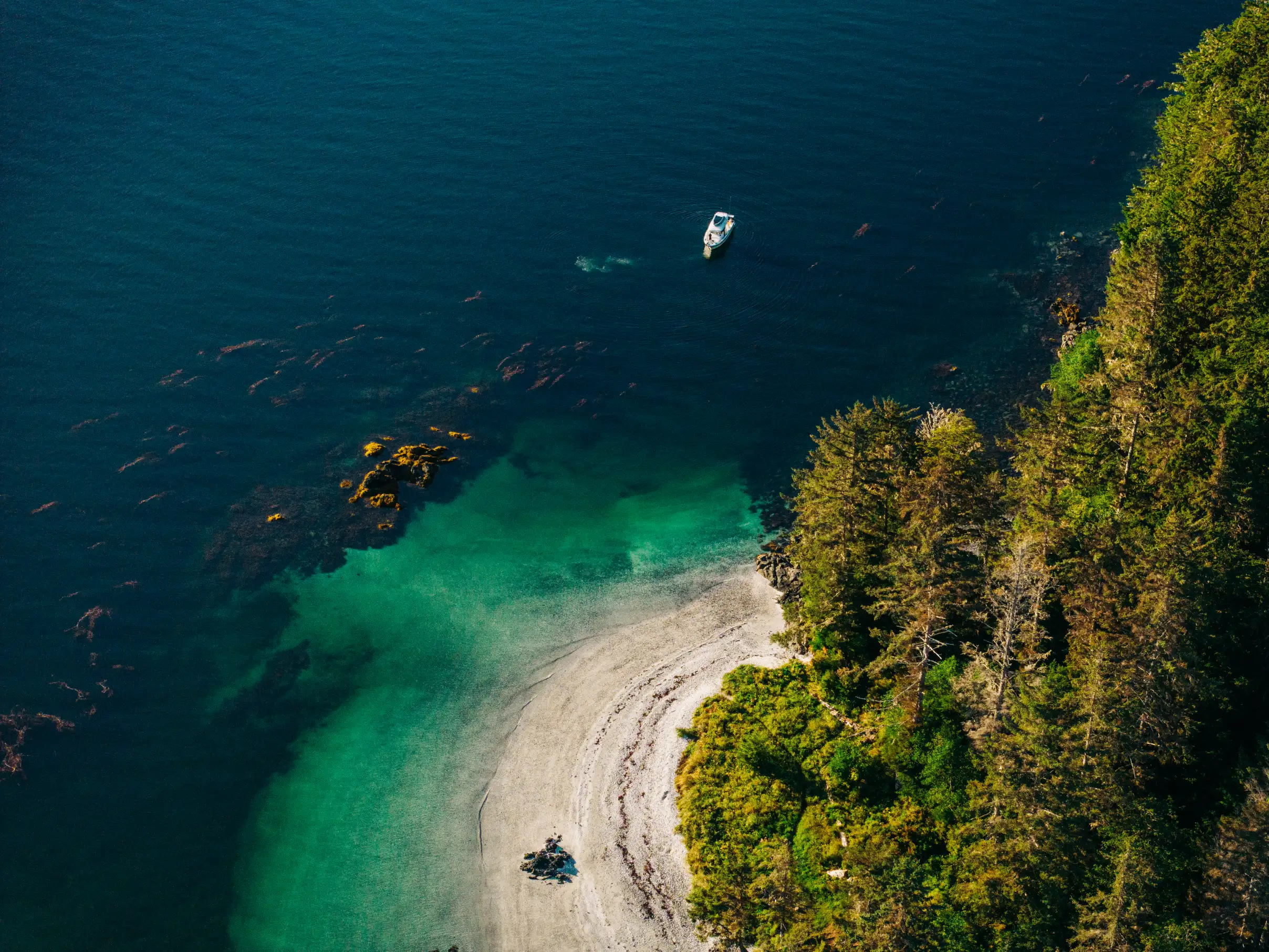 Remote beach landing with expedition craft bow ramp down
