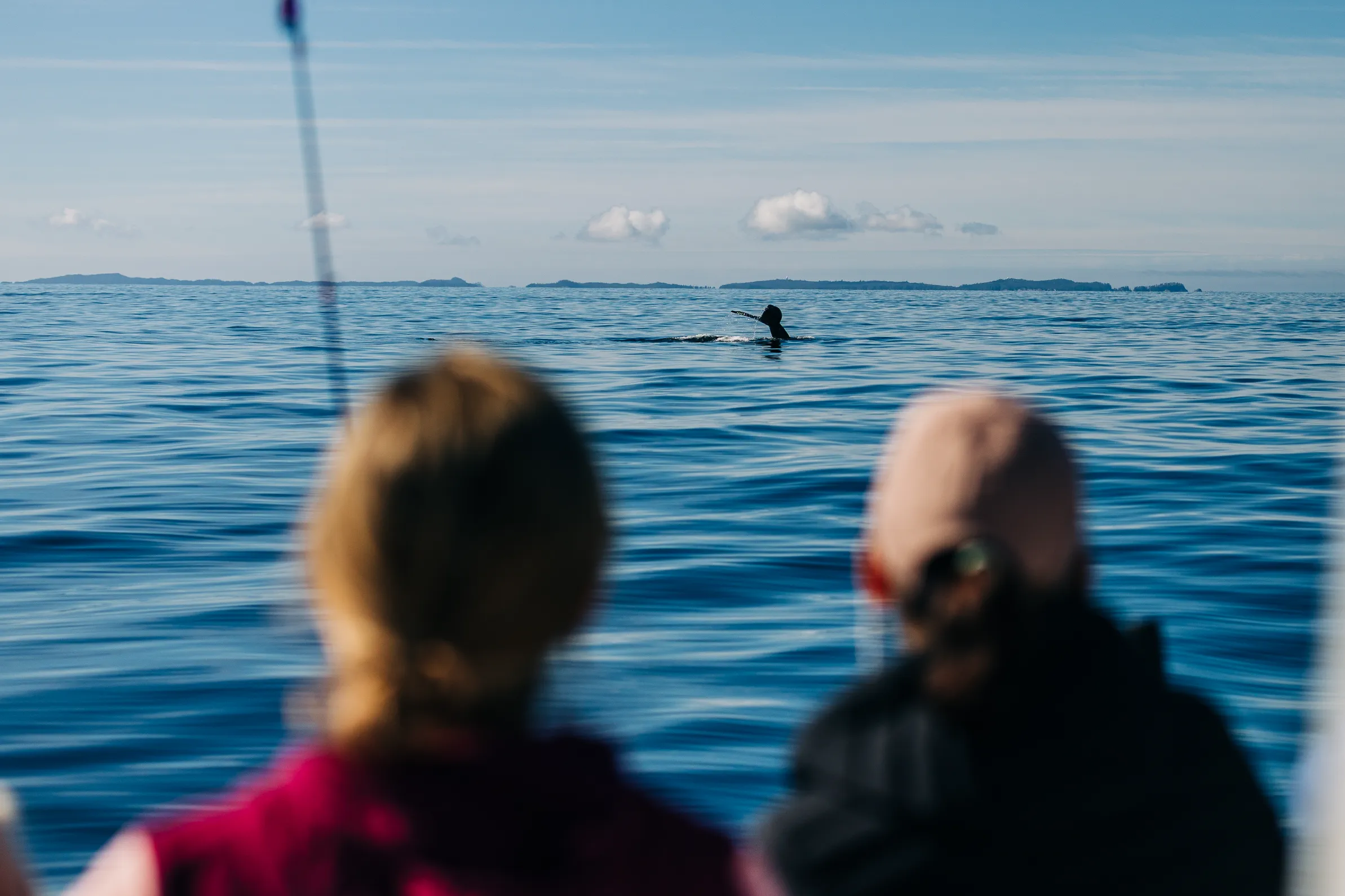 Two people on a boat watching a swimmer in a wetsuit and snorkel in the ocean with distant land on the horizon.