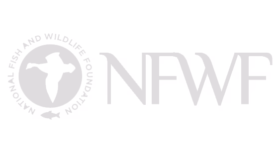 Circle logo with a flying duck silhouette inside and a fish below, encircled by the text 'National Fish and Wildlife Foundation', next to large letters 'NFWF'.