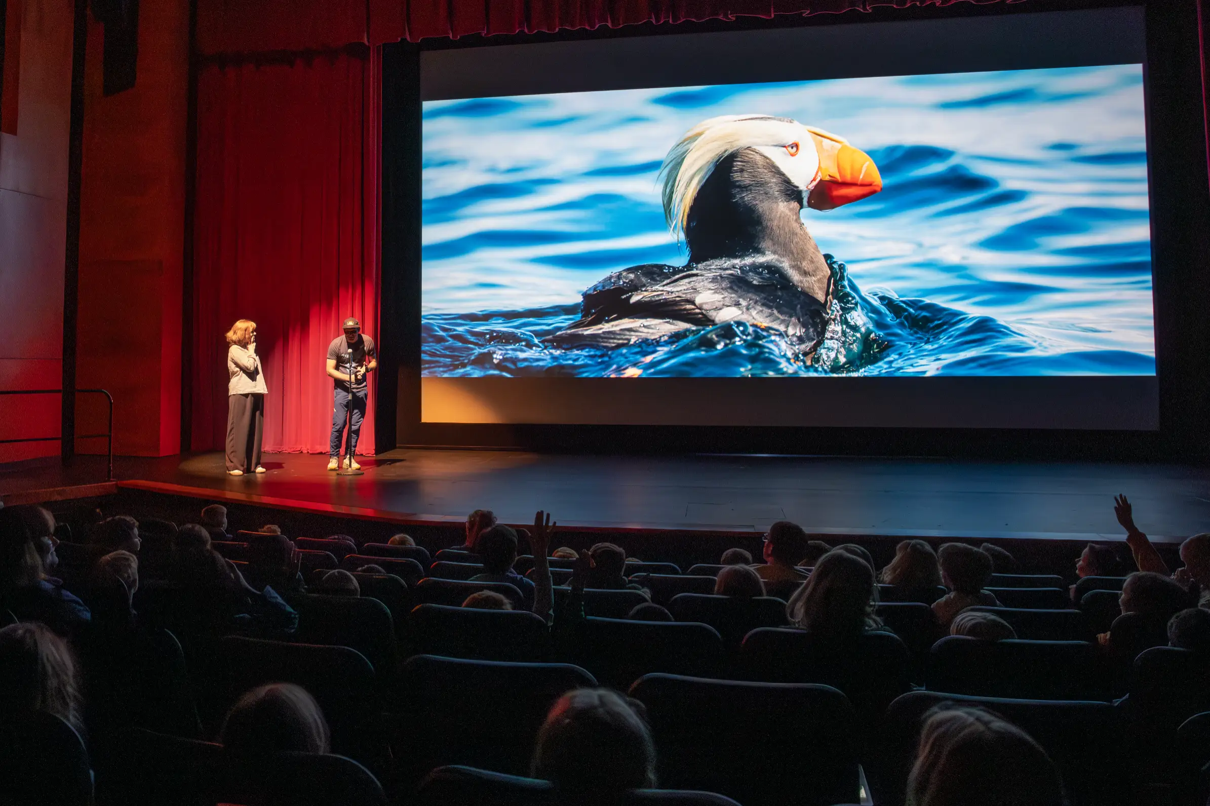 A screening of the film in a community hall
