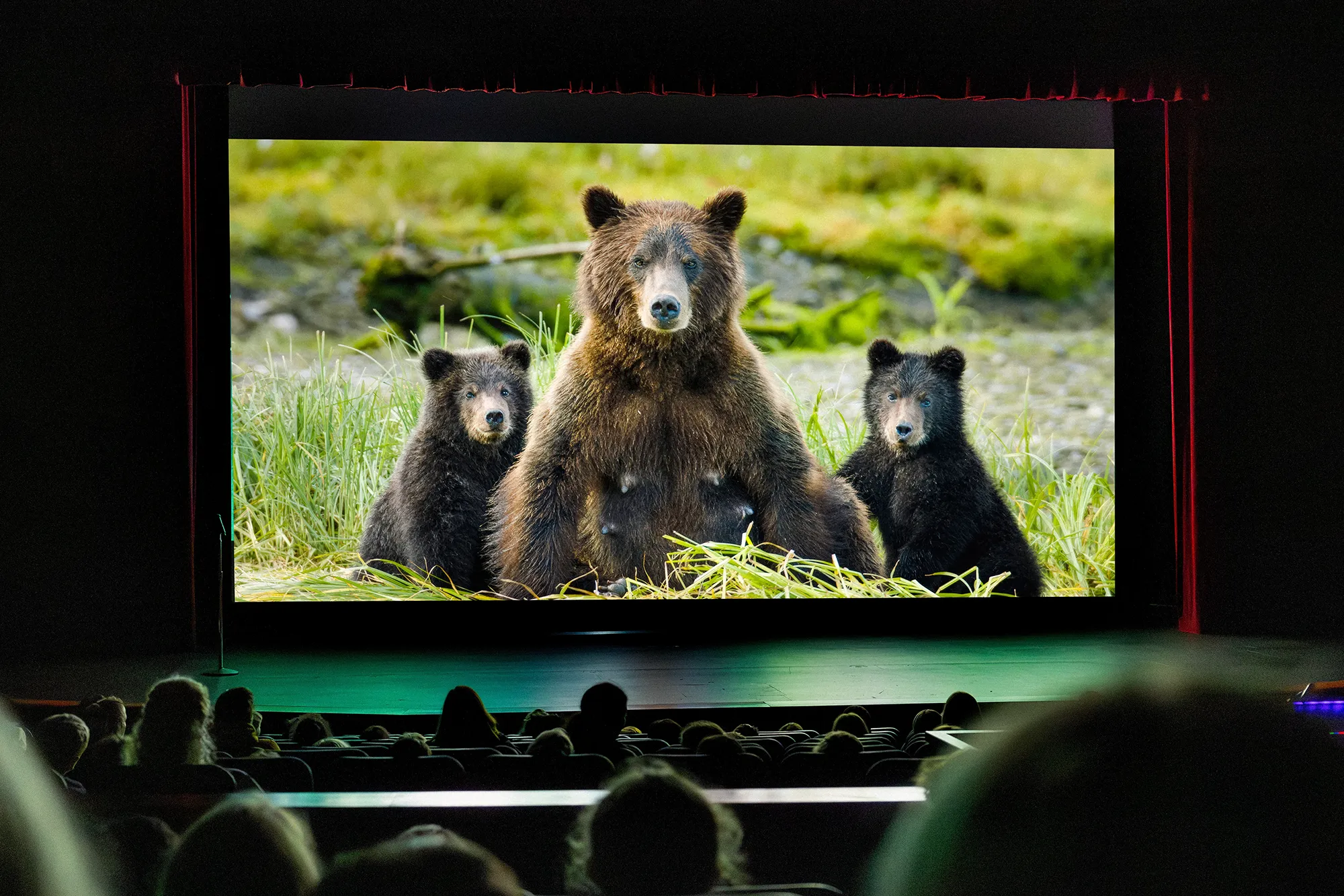 The film screening aboard a small ship