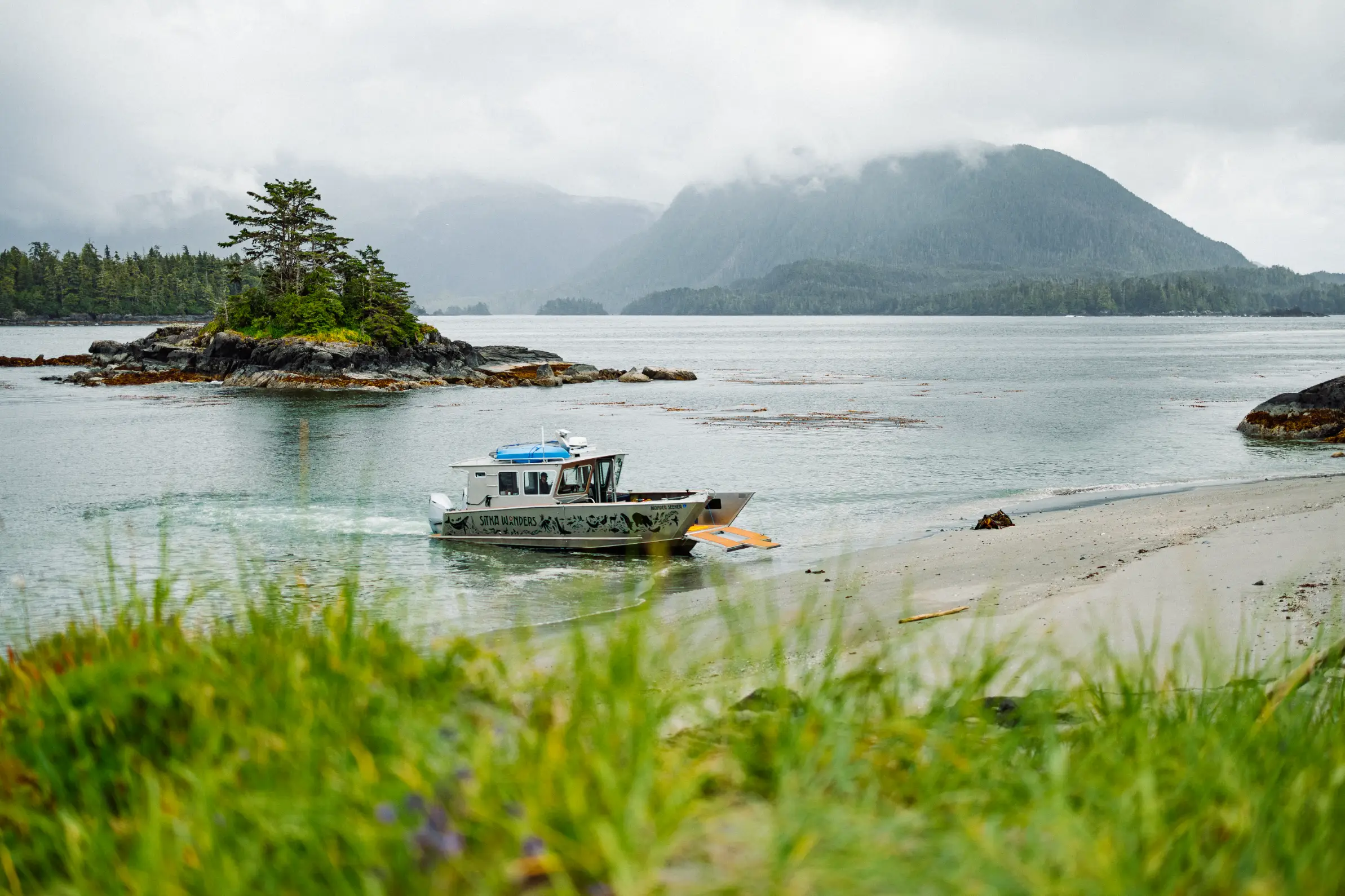 Researcher and guests in old growth on the Sitka coast