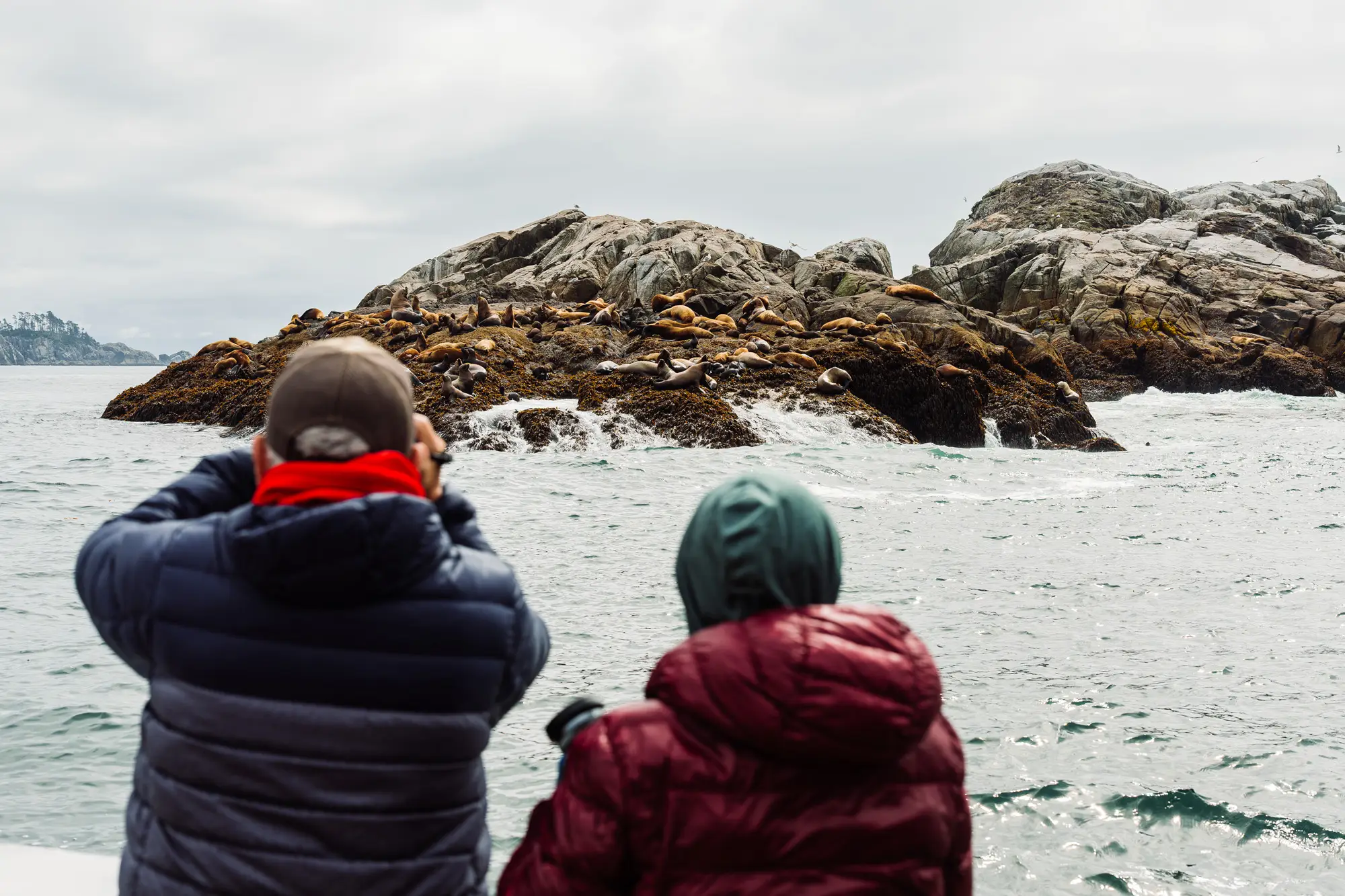 Guests watching sea lions on a remote island in Sitka Sound.