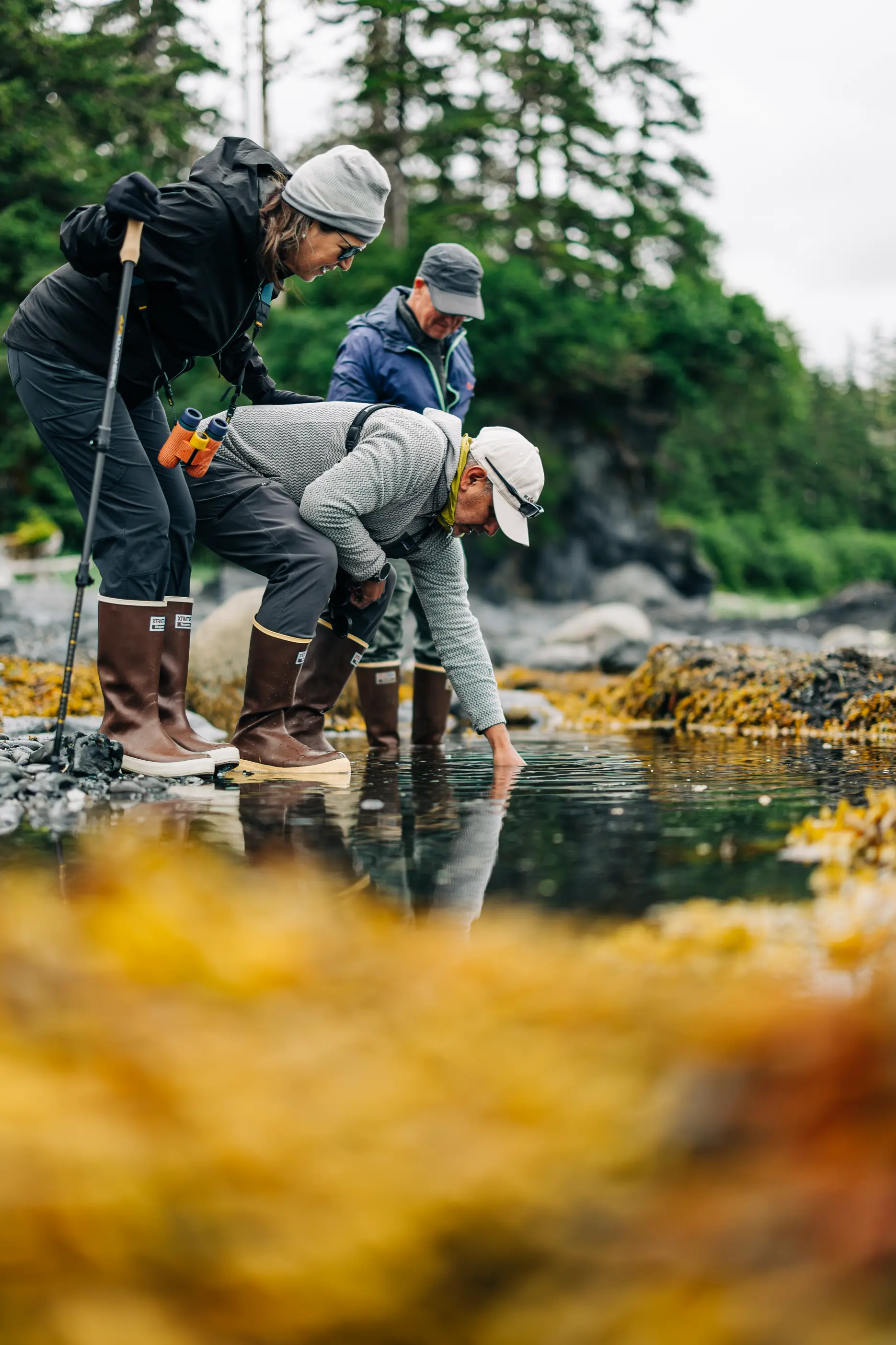 Guests and a naturalist crouched at a tidepool on a rocky beach near Sitka