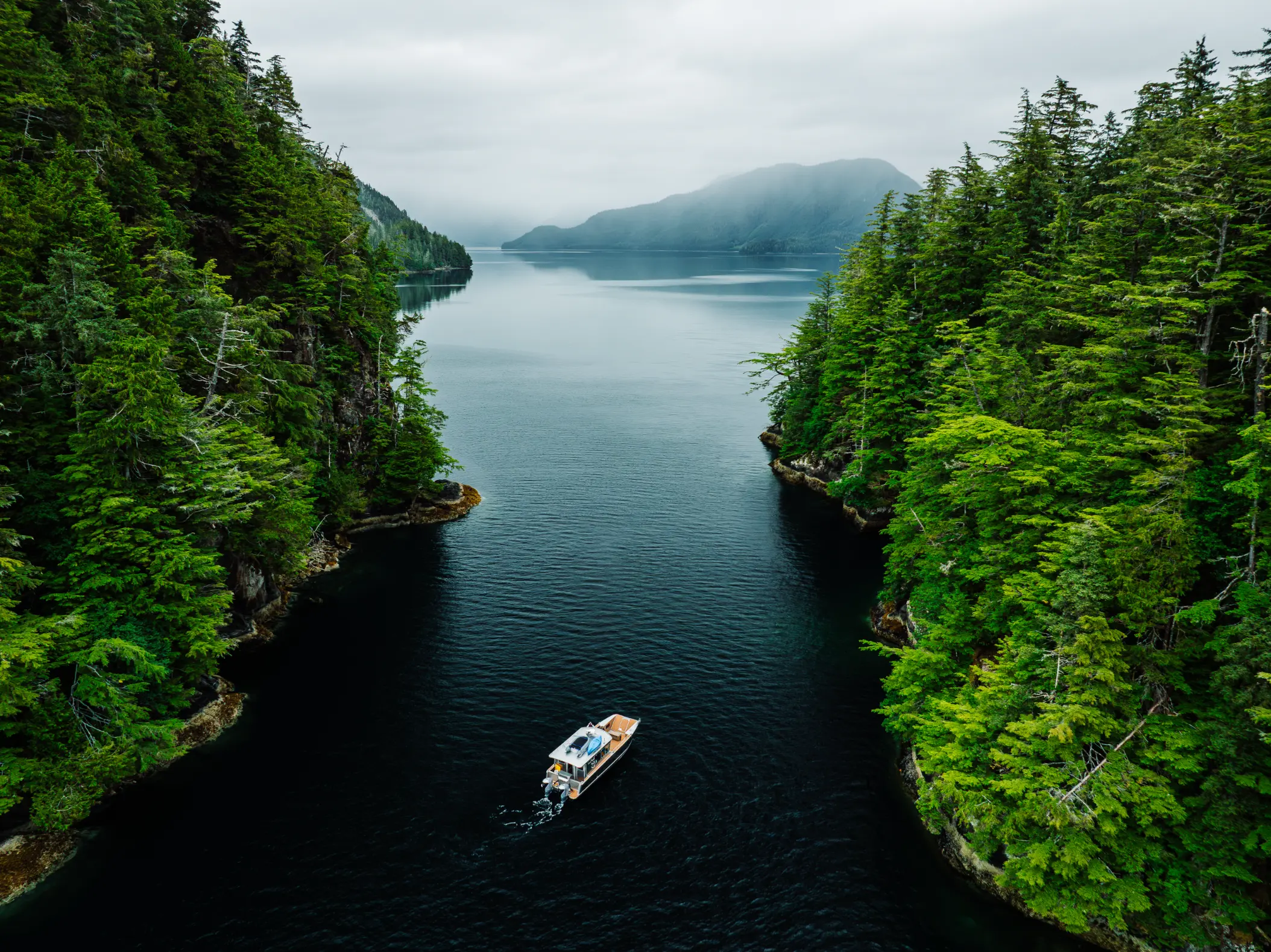Humpback whale surfacing beside the boat in Sitka Sound