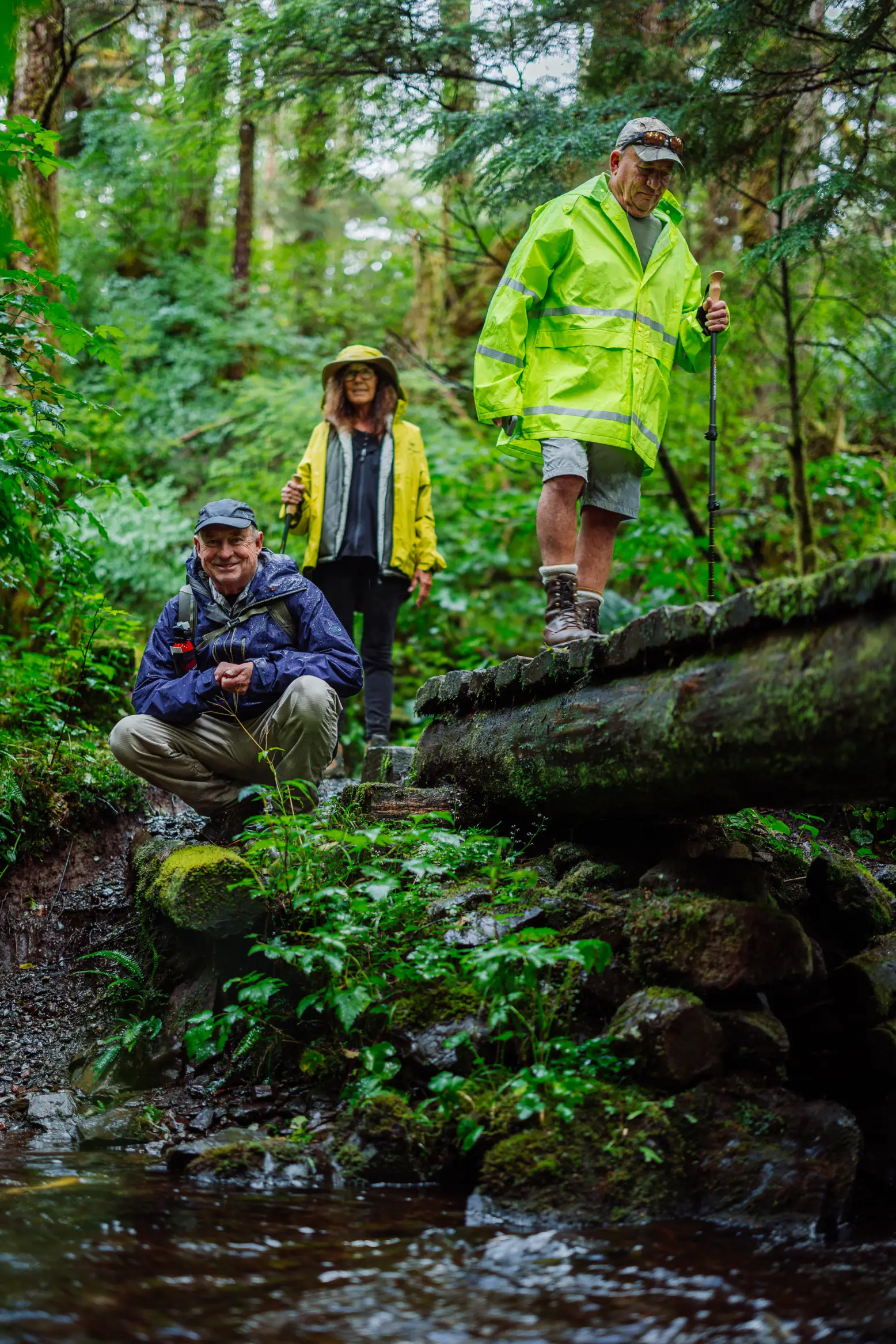 Three guests in rain jackets exploring a rainforest creek in the Tongass