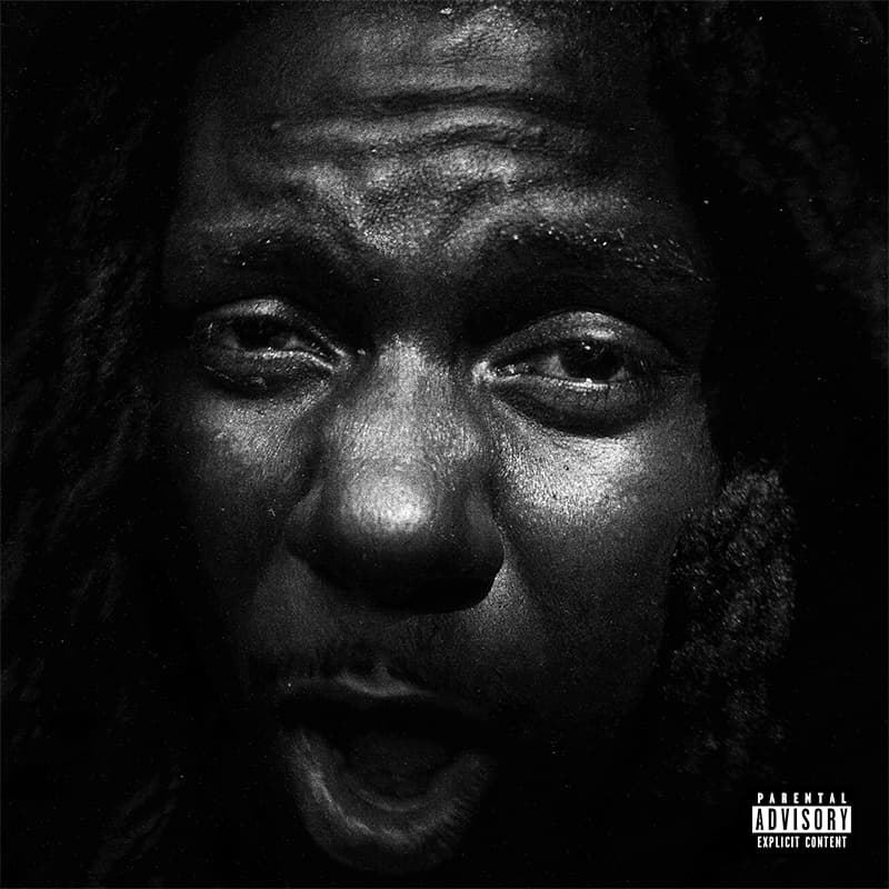 Cover art for Stigma by LB199X
