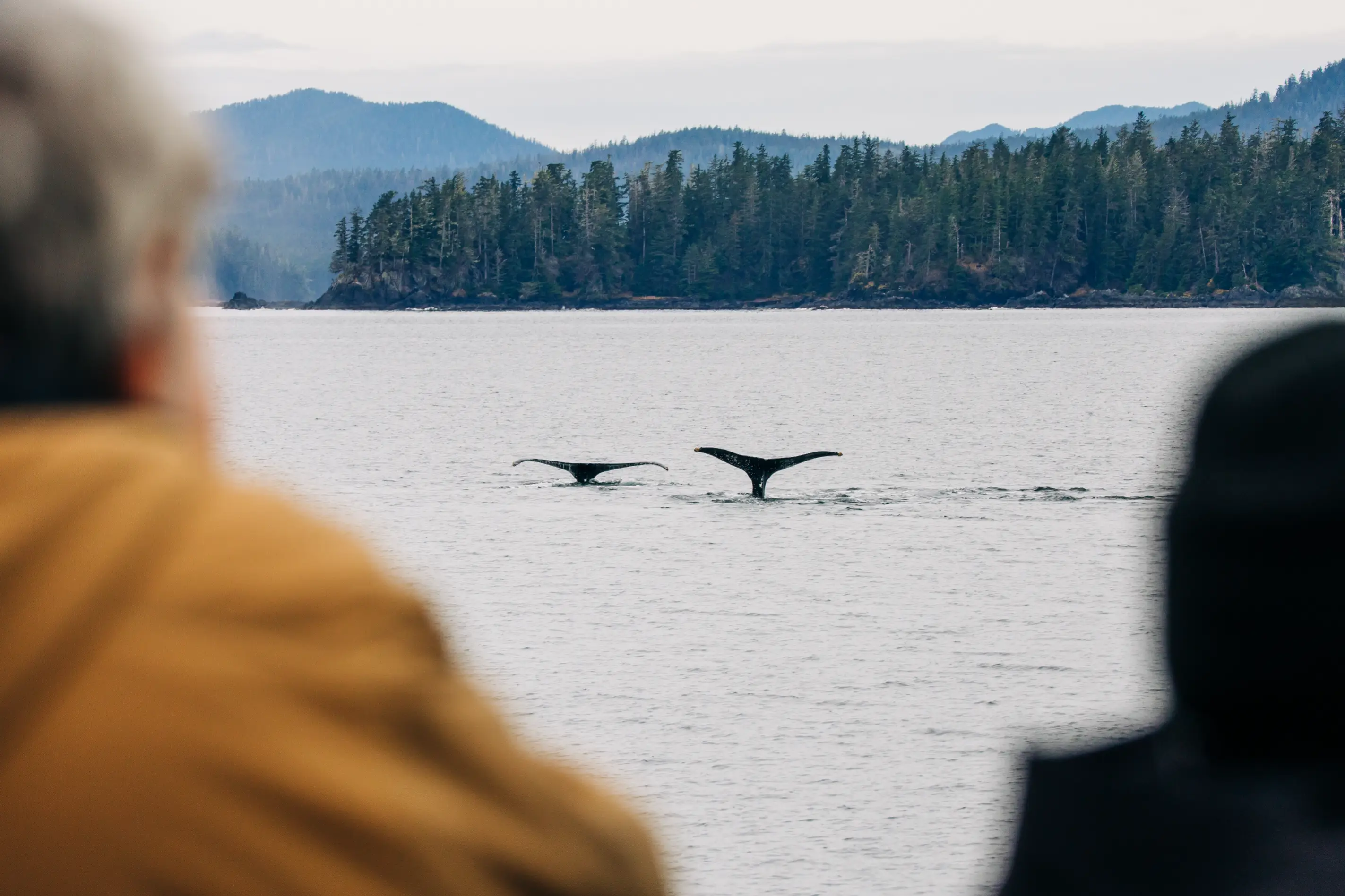 Remote beach landing with expedition craft bow ramp down