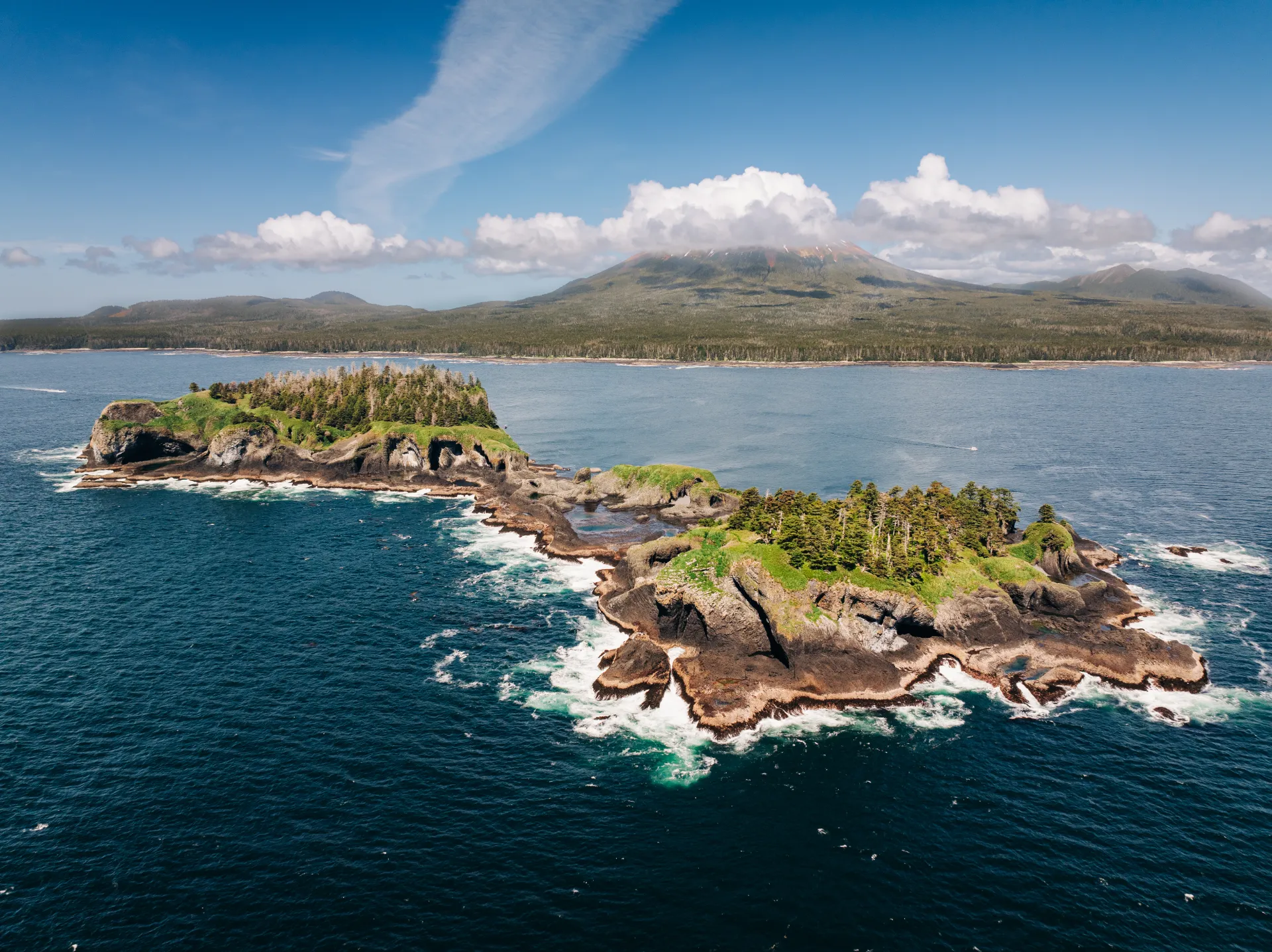 St Lazaria Island Wild Coast Sitka Alaska Whale Watching Tours Sitka Wonders Guide Cruise