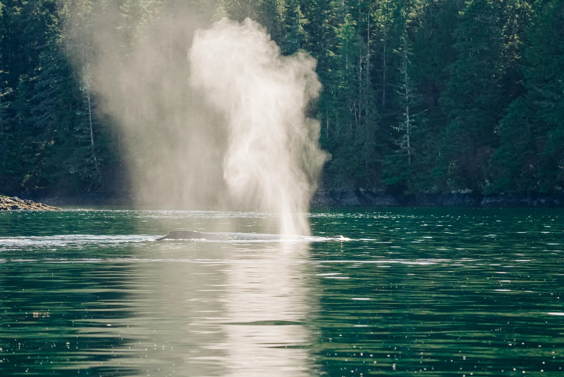 Remote beach landing with expedition craft bow ramp down