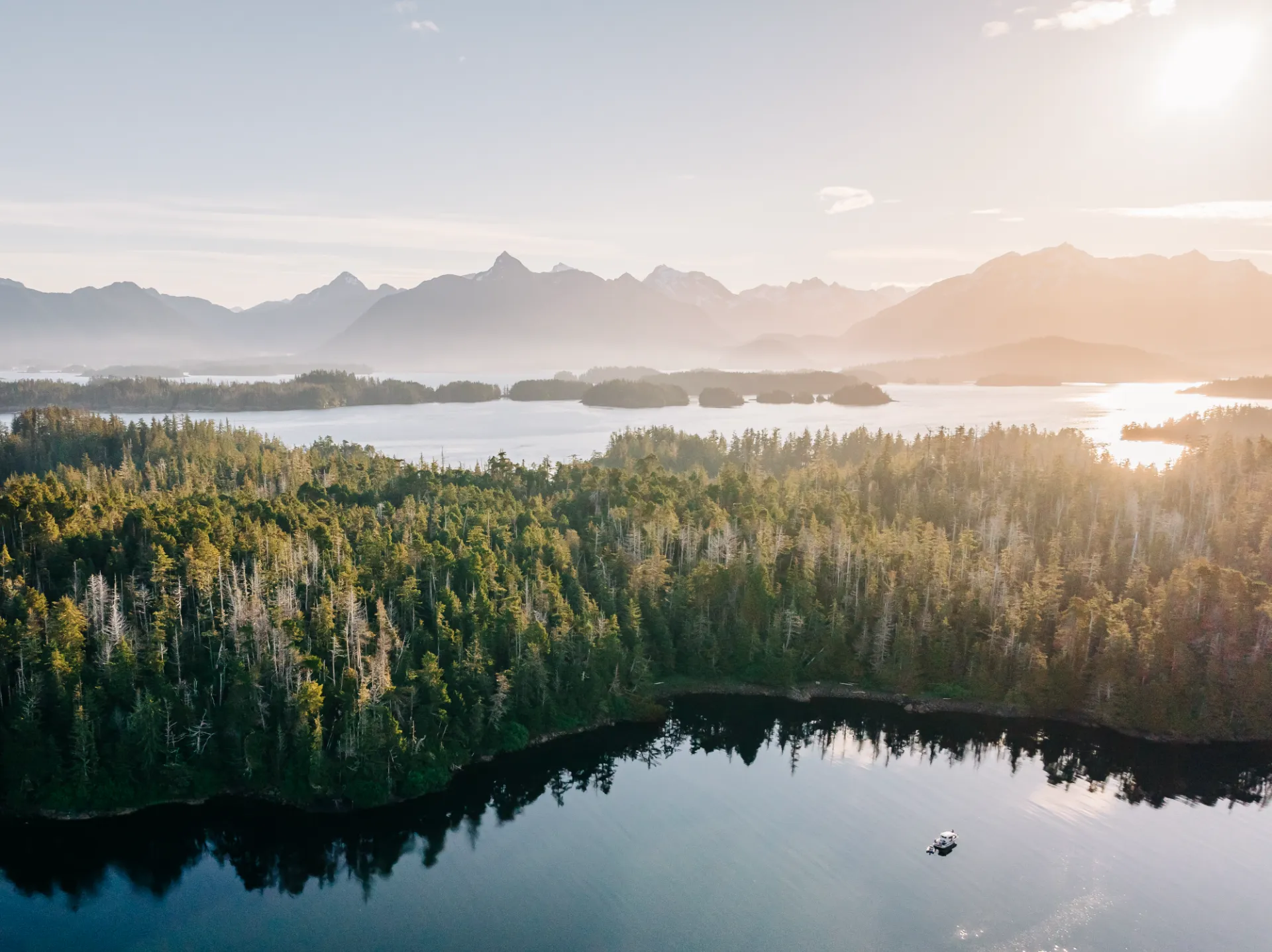 Humpback whale surfacing near the boat in Sitka Sound