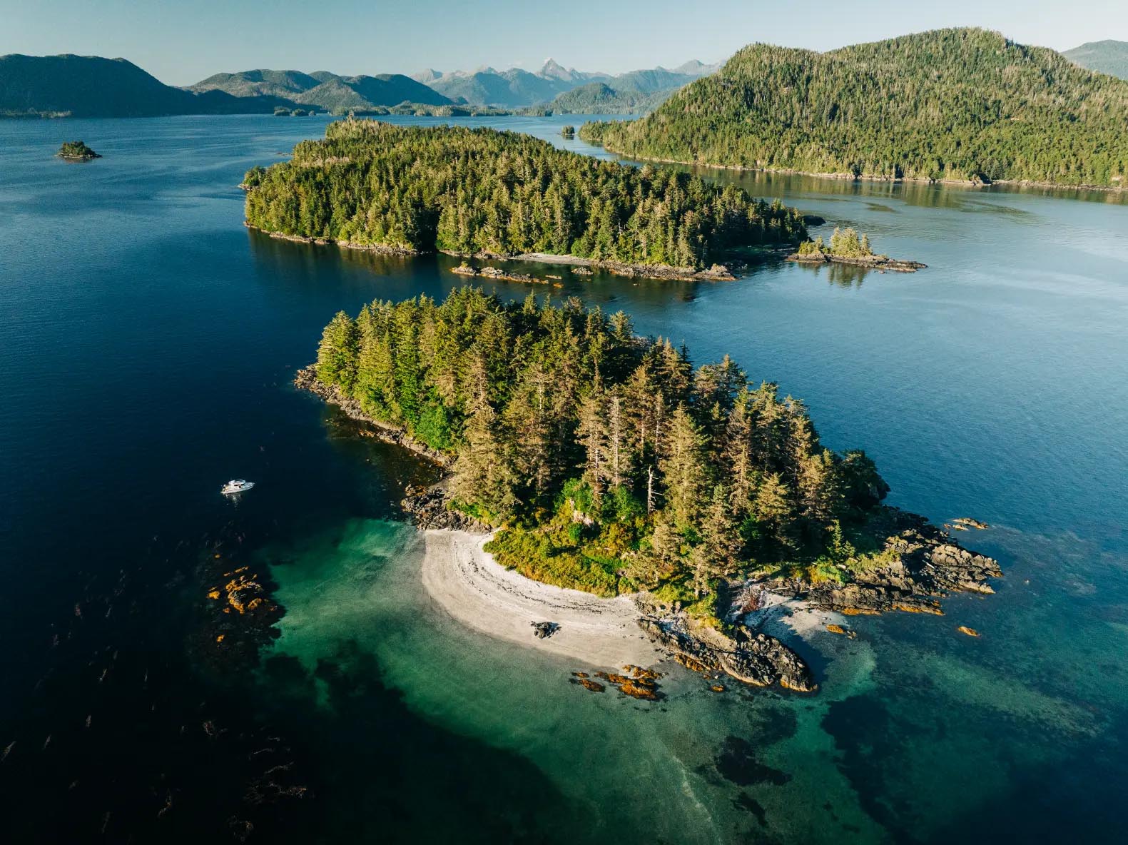Sea otters floating in calm Sitka Sound waters