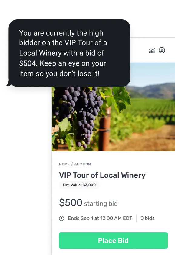 Auction page showing VIP Tour of Local Winery with estimated value $3,000, starting bid $500, no bids yet, and a notification that you are currently the high bidder with $504 bid.
