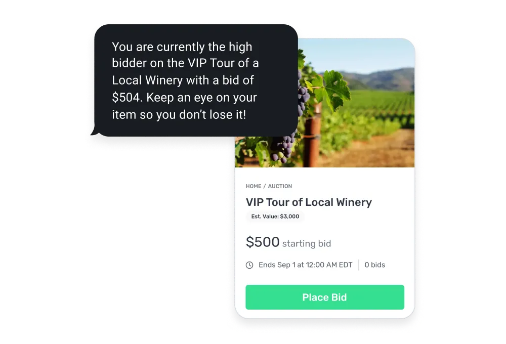 Auction interface showing a VIP Tour of Local Winery with grapevine image, $500 starting bid, ends Sep 1, and a notification that user is the high bidder with a $504 bid.