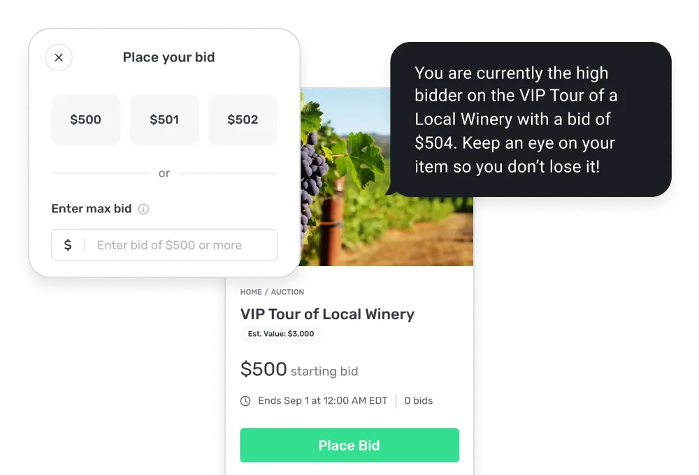 Auction interface showing VIP Tour of Local Winery with $500 starting bid, options to place bids, and notification of current high bid at $504.