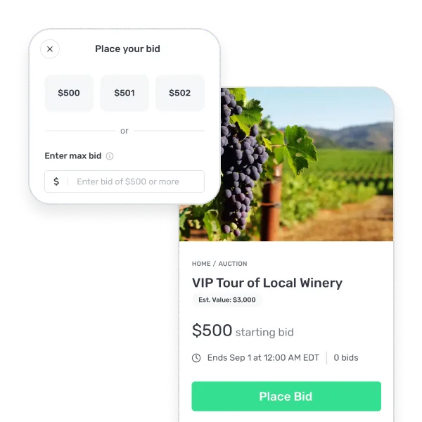 Auction page showing VIP Tour of Local Winery with a starting bid of $500 and options to place or enter a higher bid.
