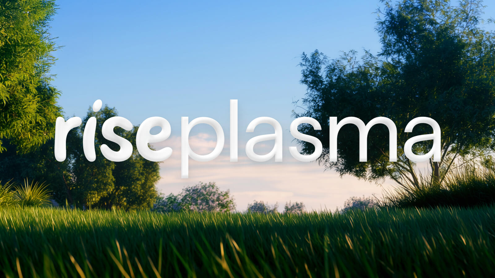 rise plasma