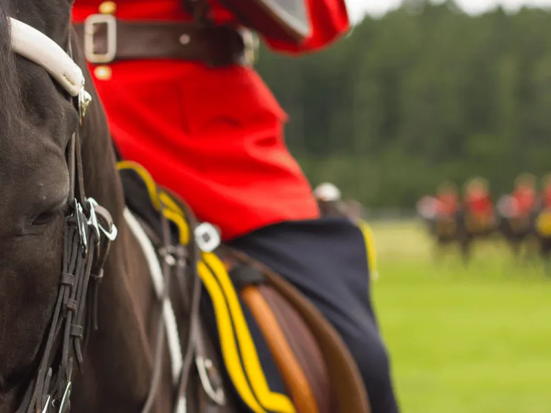 A picture of an RCMP officer on his horse from the waste