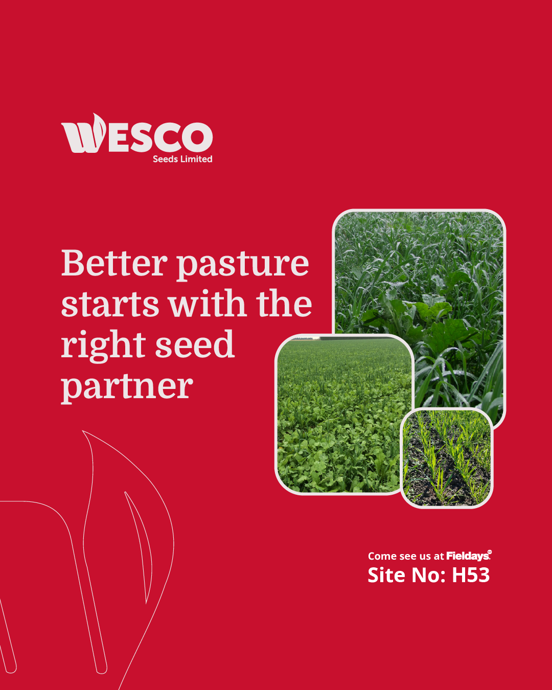 Wesco — New season gear