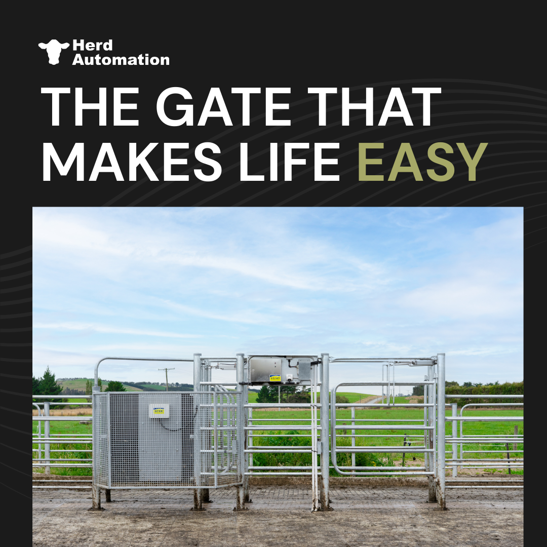 Herd Automation