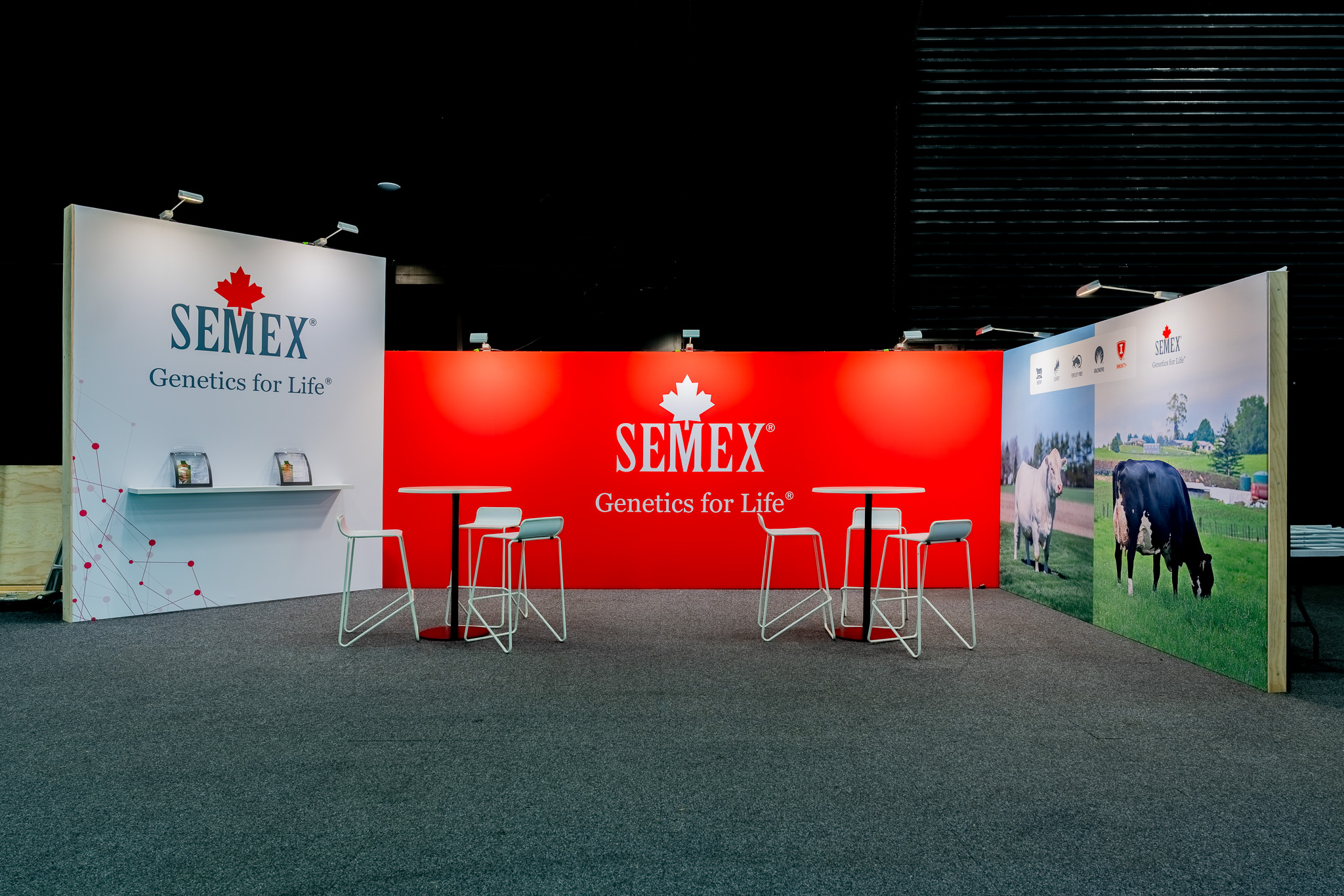 SEMEX