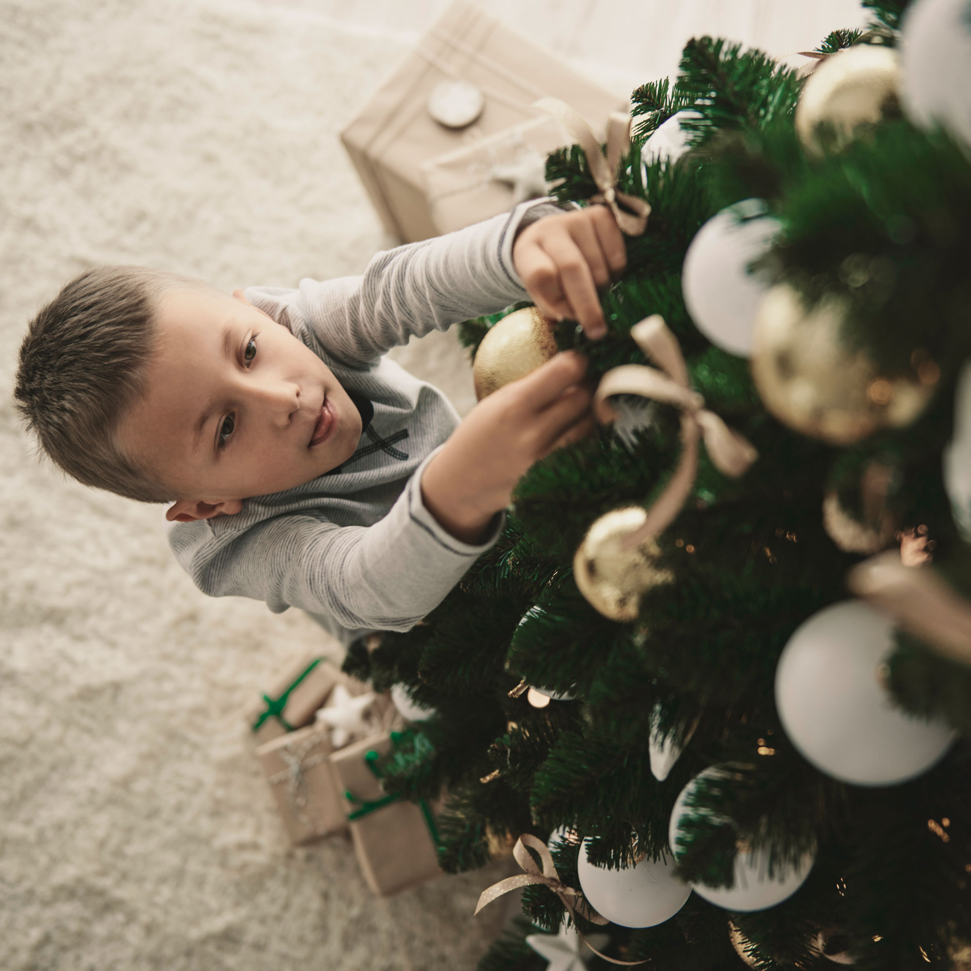 Aktion Wunschbaum – Gemeinsam Wünsche erfüllen 
