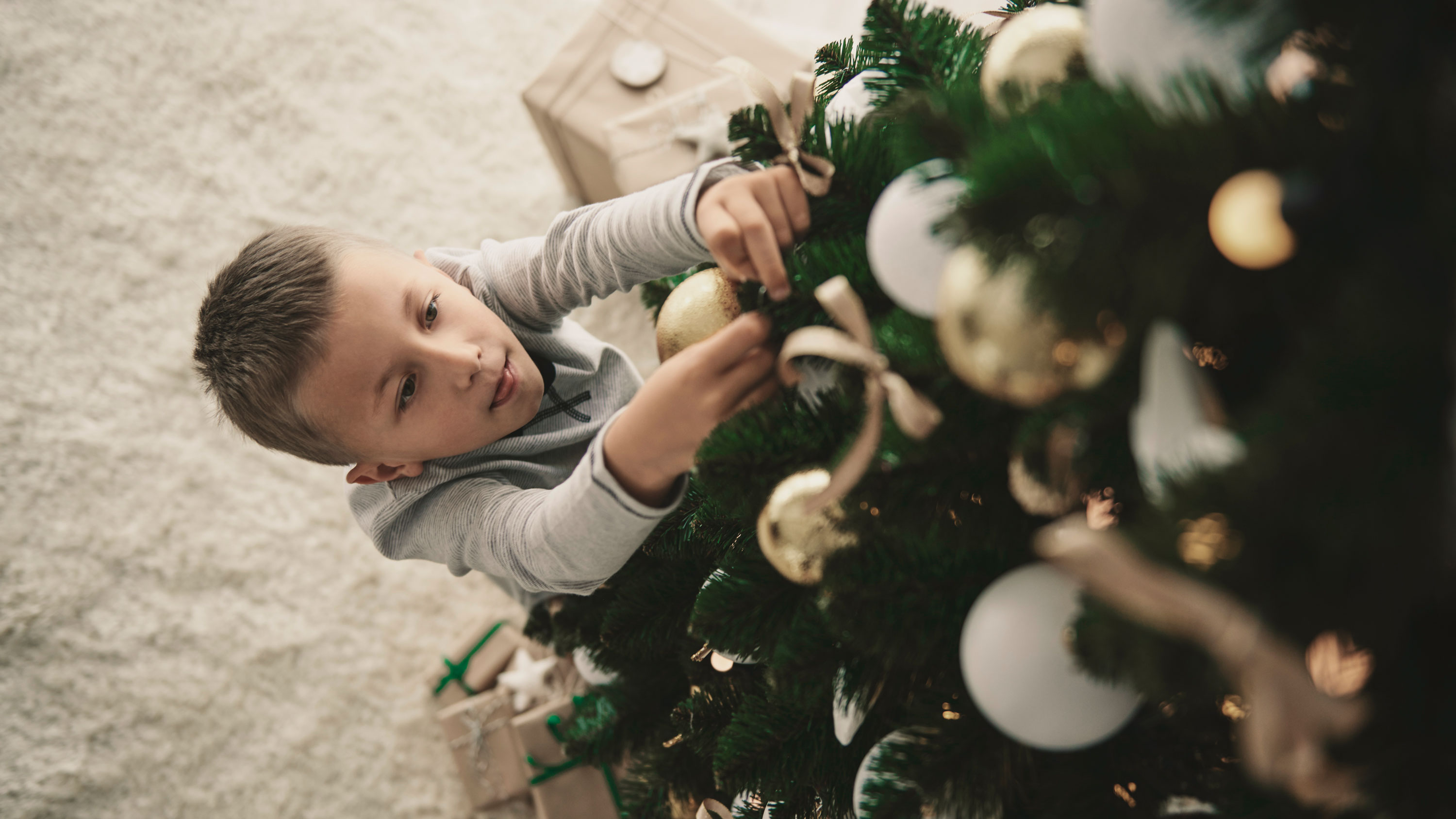 Aktion Wunschbaum - Stiftung Denk an mich