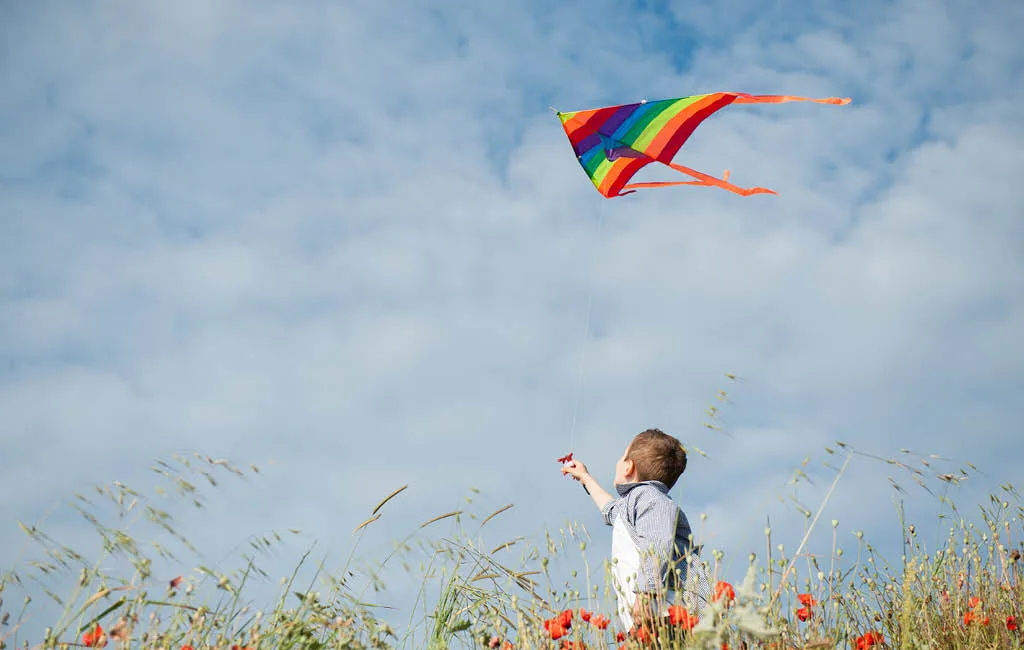 Boy holding a colorful kite in the air.