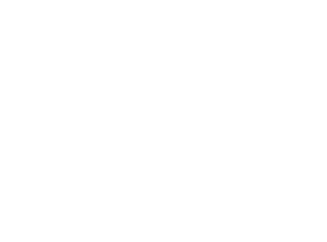bee pattern