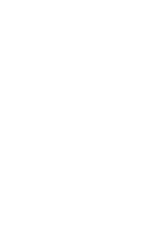 mesh-2