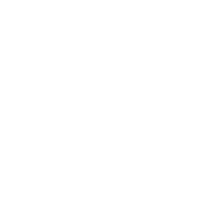 mesh-1
