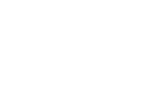 cs-card mesh