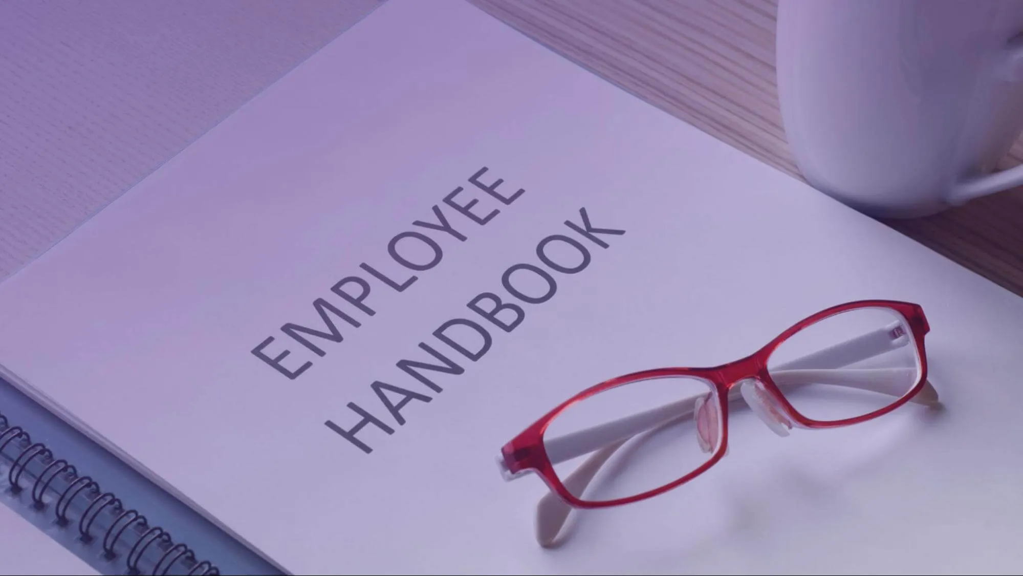 Employee Handbook For Organizations 2024