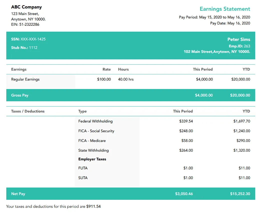 Basic Pay Stub Sample
