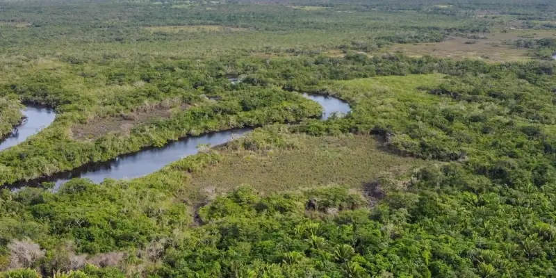 Guinea Bissau