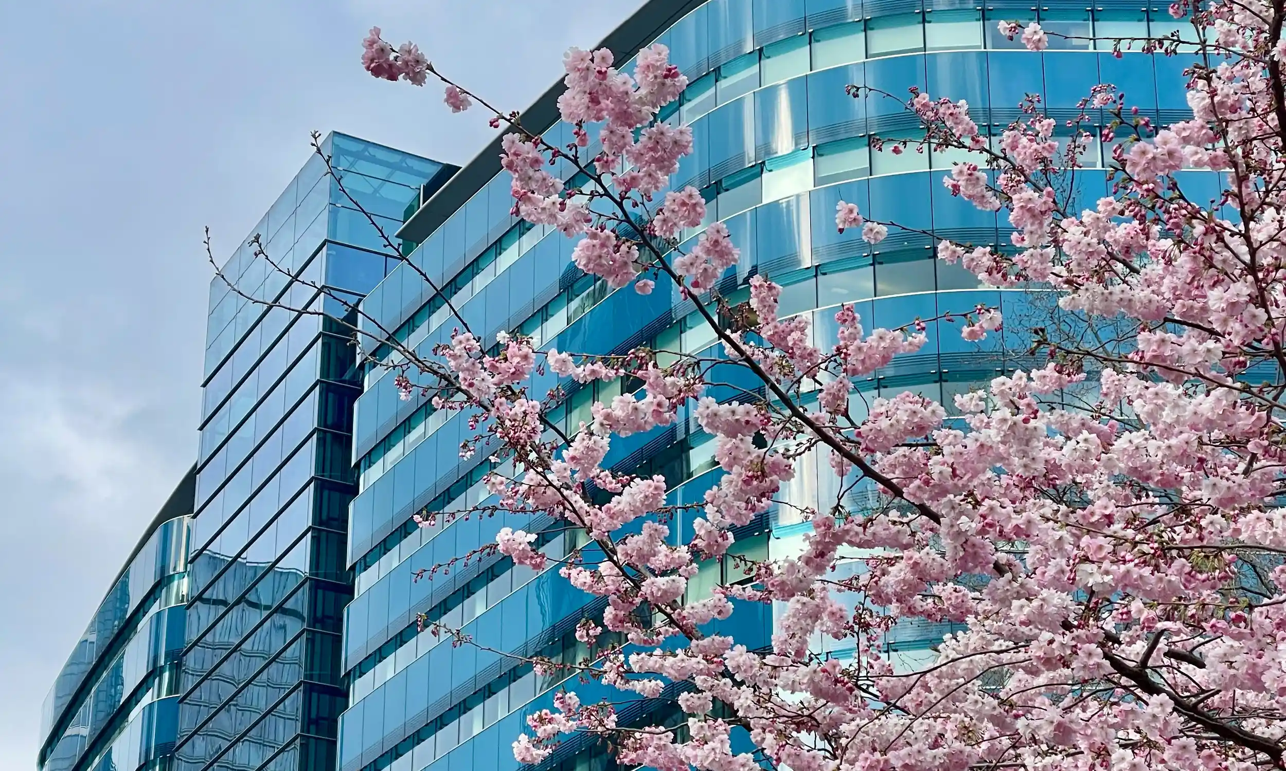 April 2026 employment law changes – five things you should know about…