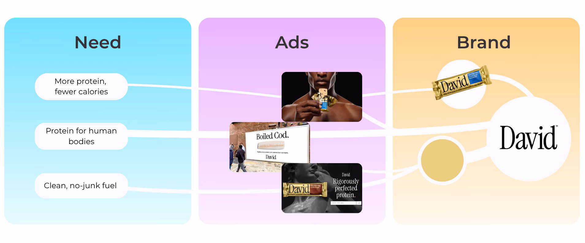 David protein brand map linking three needs (more protein fewer calories, protein for human bodies, clean fuel) through ads to the David brand