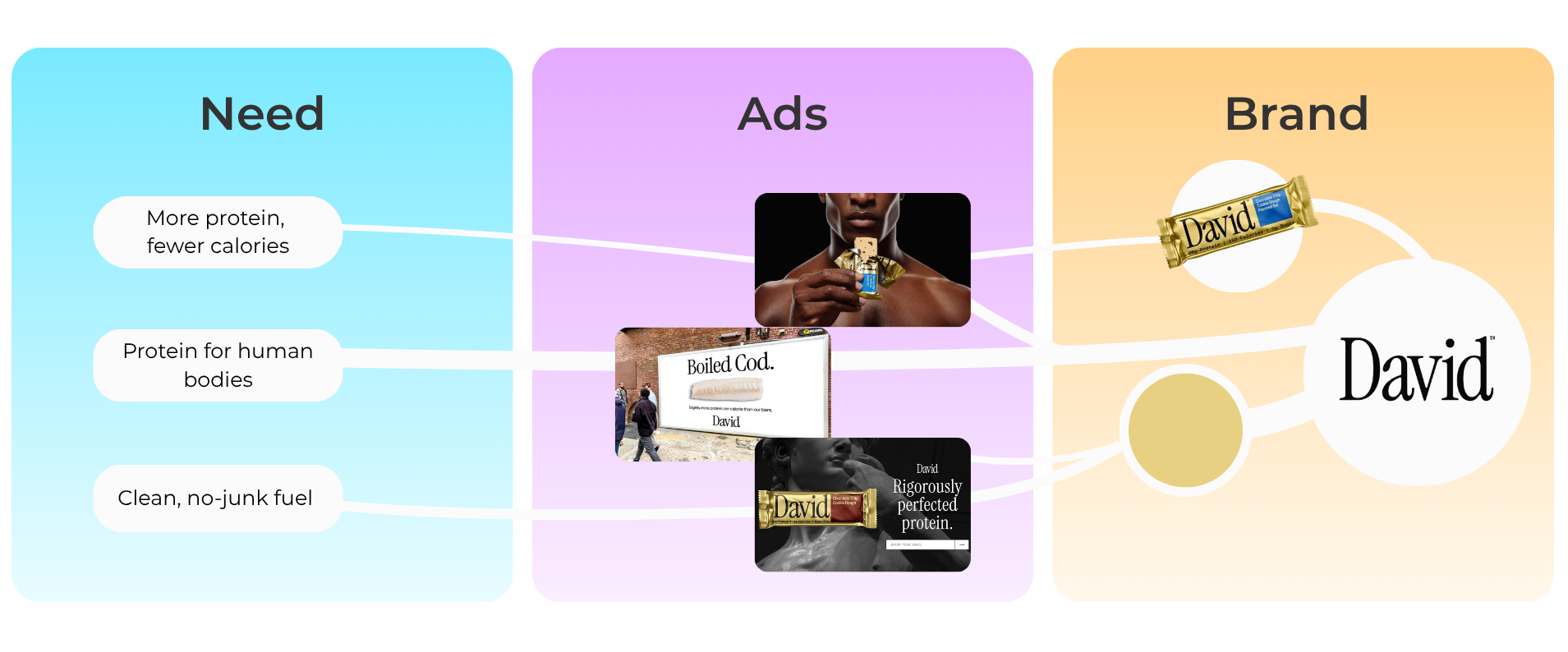 David protein brand map linking three needs (more protein fewer calories, protein for human bodies, clean fuel) through ads to the David brand