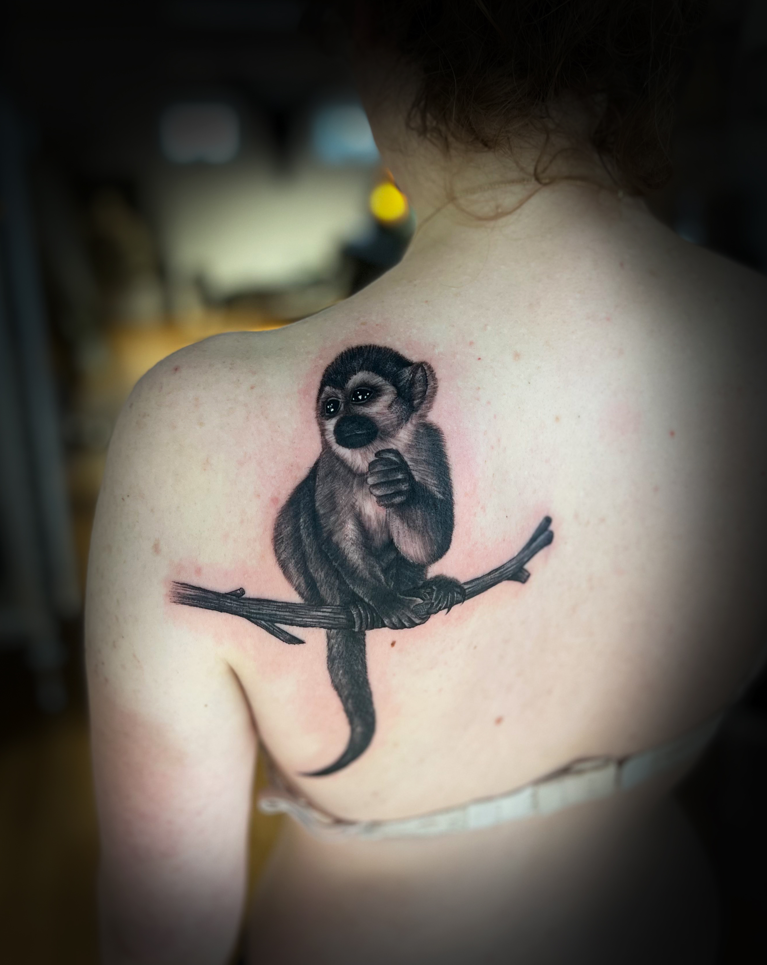 Detaillierte Realistic-Darstellung eines Affe – Stärke und Wildheit in jedem Strich.