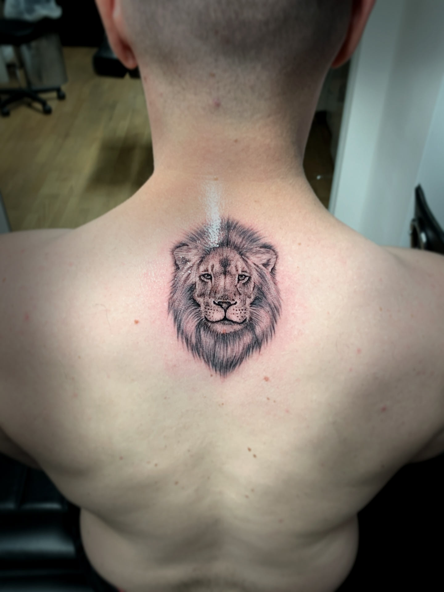 Elegantes Löwe Fineline Tattoo Design von Kristiyan Mihaylov, München.