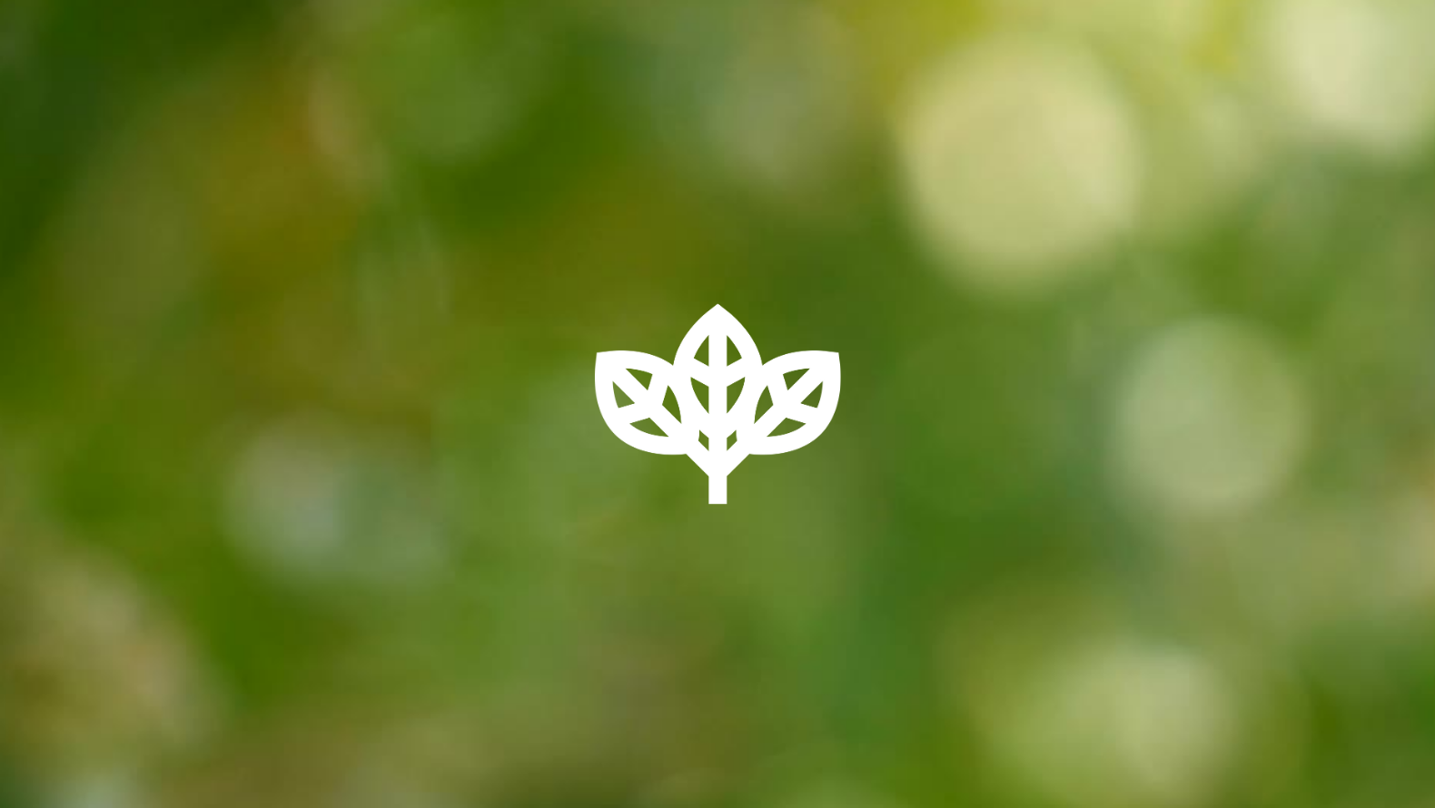 Sustainable events: the new standard that brands can no longer ignore