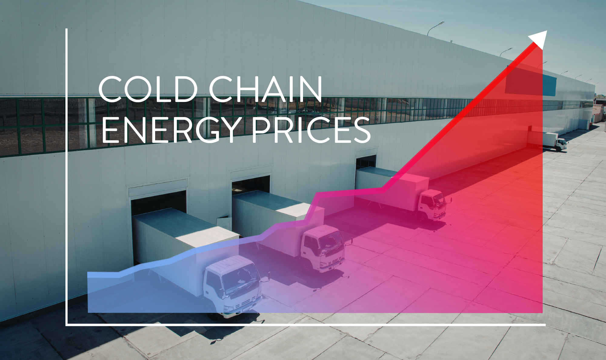 The Cold Chain Crunch: the Rising Cost of Keeping Cold