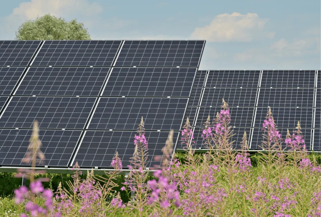 Solar Panel Image