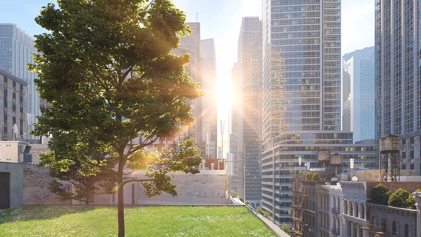 New York City Skyline with Green Space