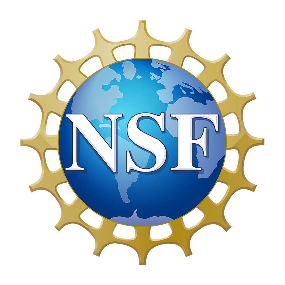 Nsf AI Institute for Societal Decision Making