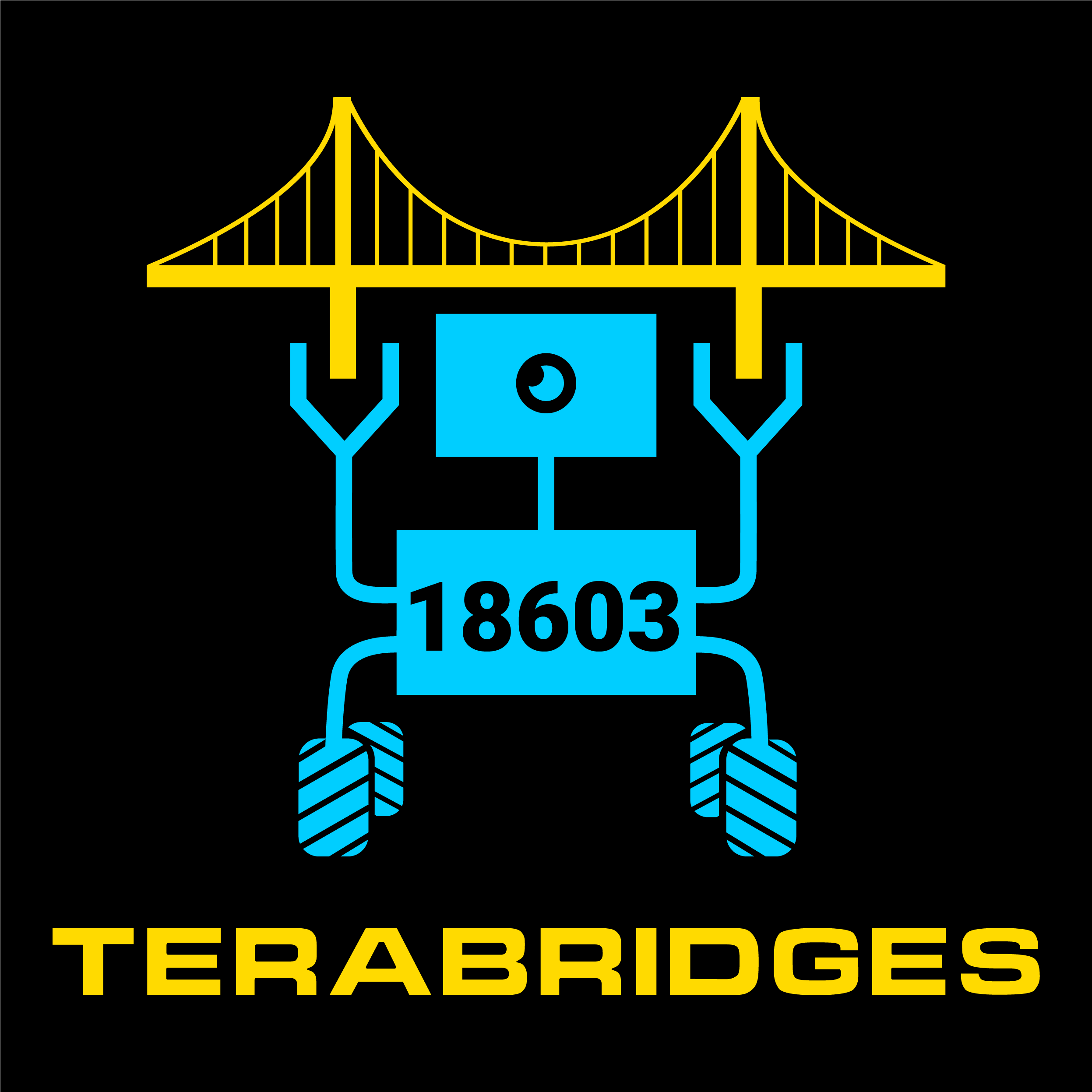 TeraBridges 18603