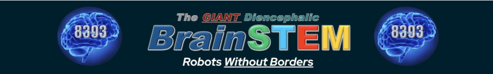 Brainstem Without Border, Inc